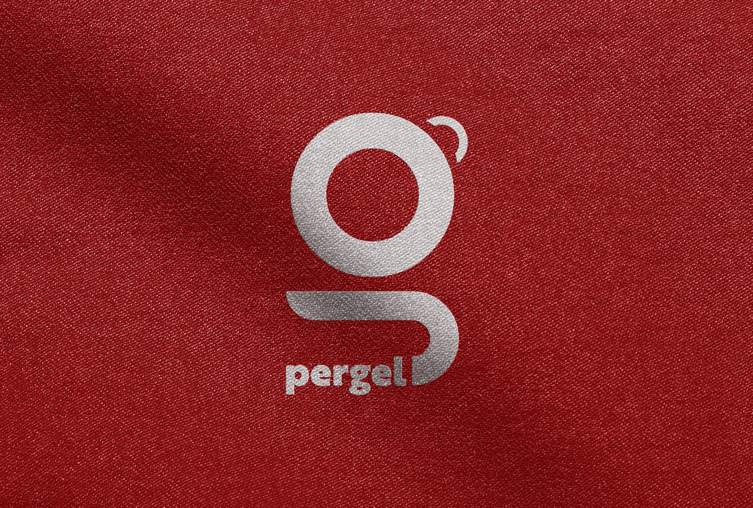 Pergel Fellowship Programı